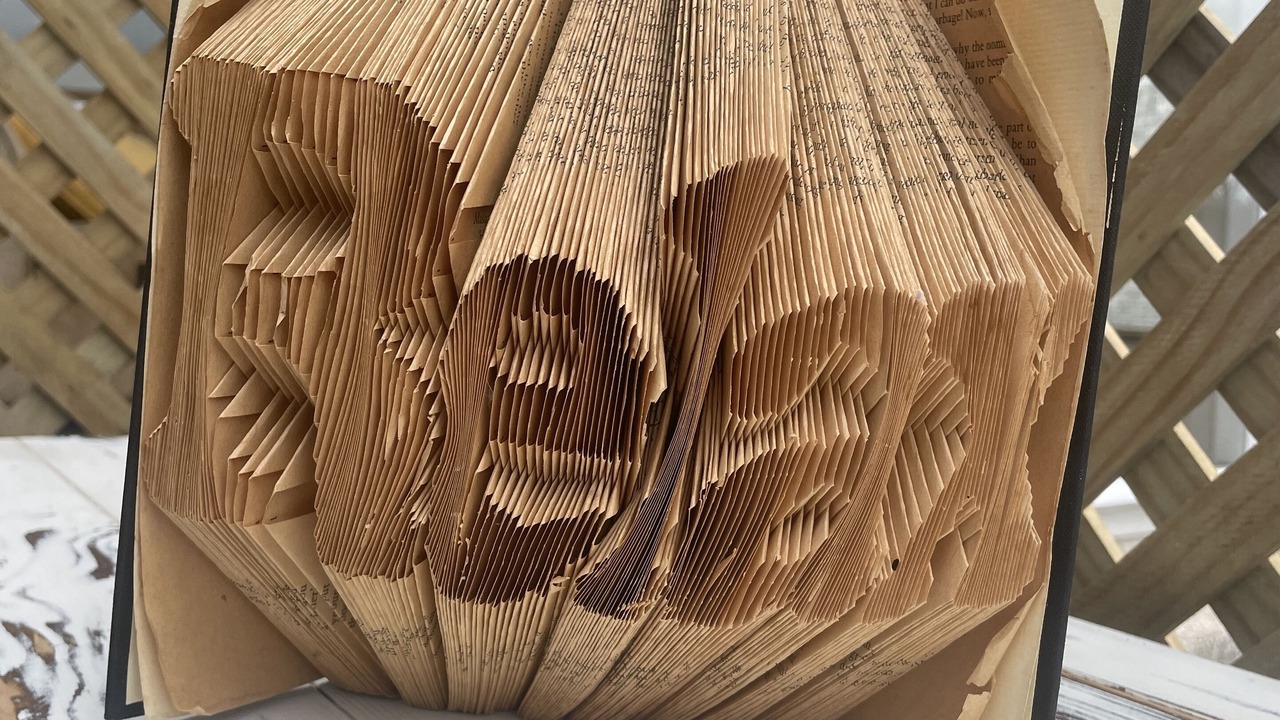 Photo of Others in Auroa