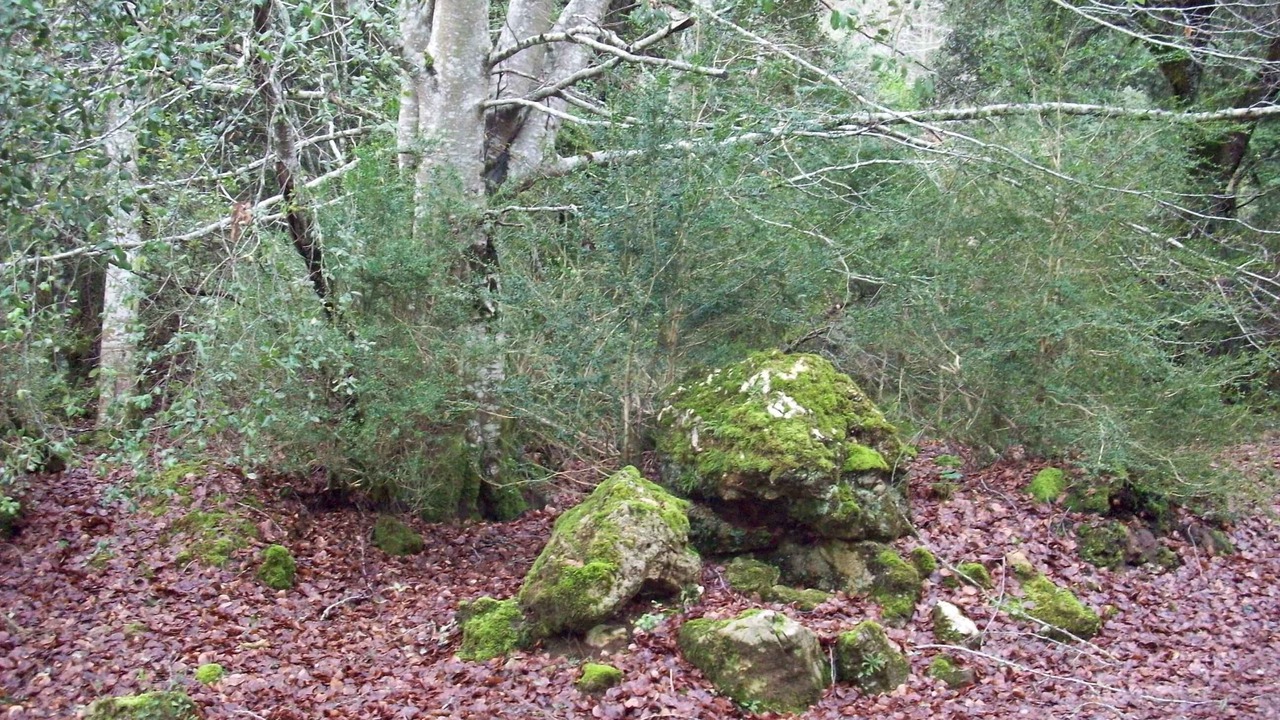 Photo of Outdoor in Genevilla