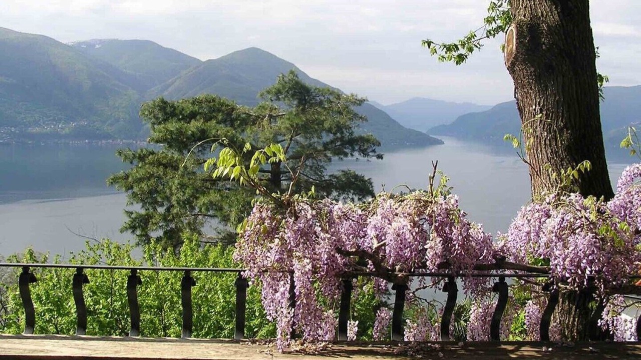 Photo of Others in Ronco sopra Ascona