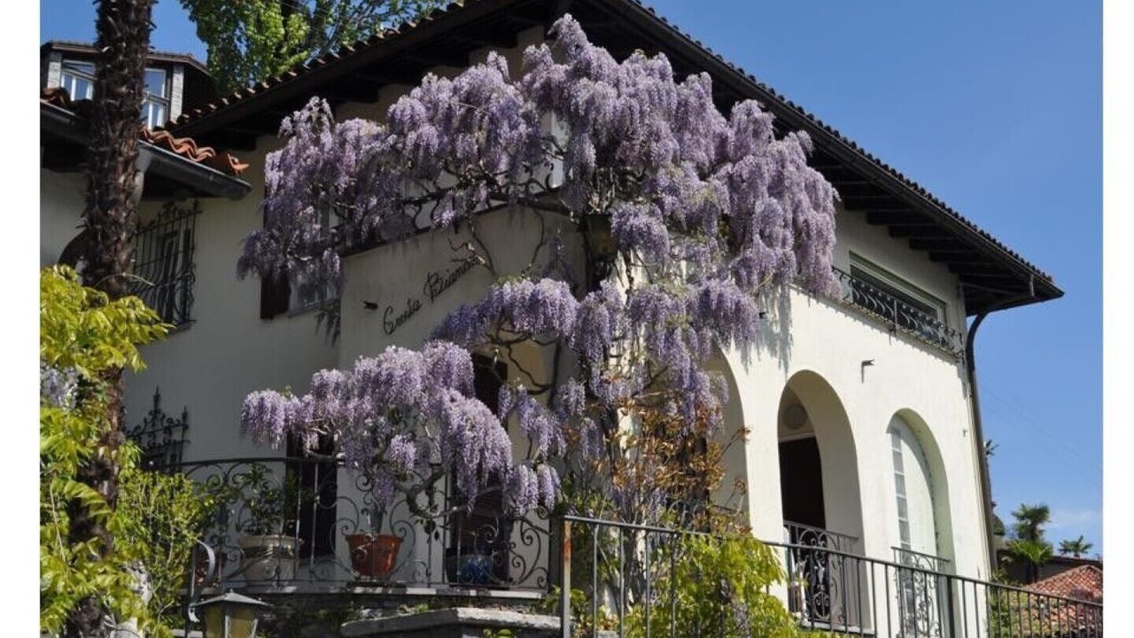 Photo of Outdoor in Ronco sopra Ascona