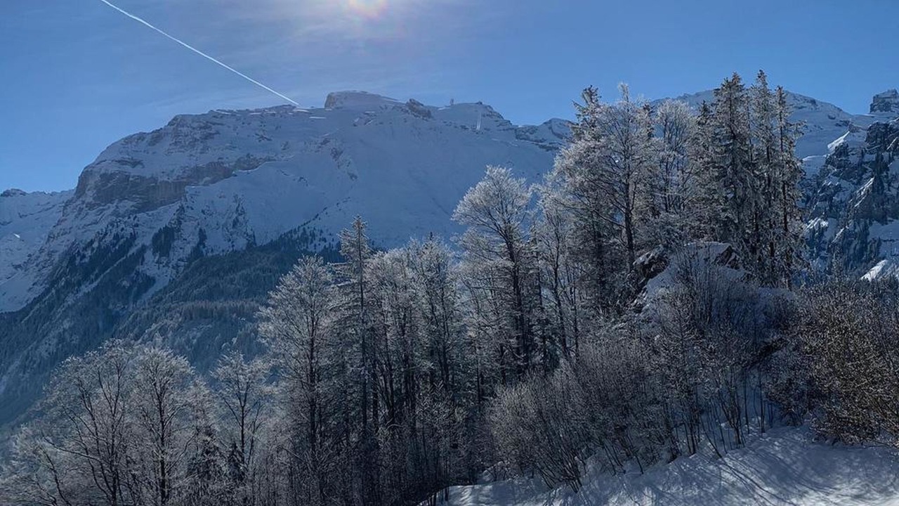 Photo of Others in Engelberg