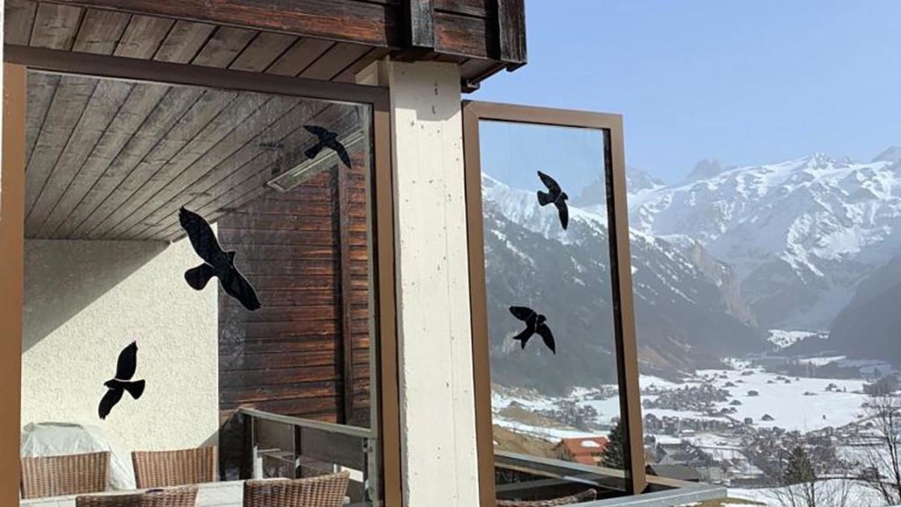 Photo of Bedroom in Engelberg