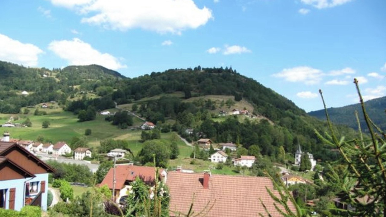 Photo of Others in Travexin