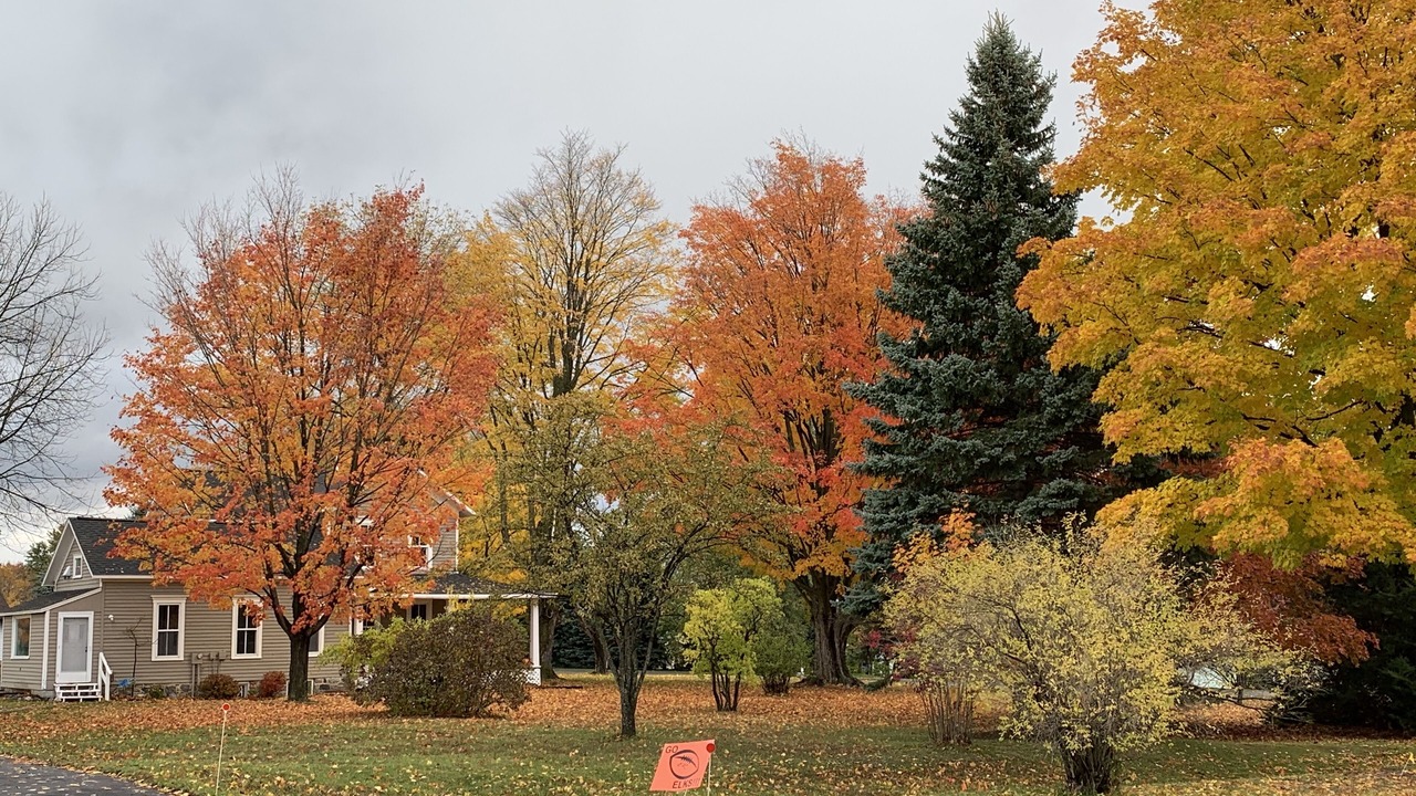 Photo of Outdoor in Williamsburg