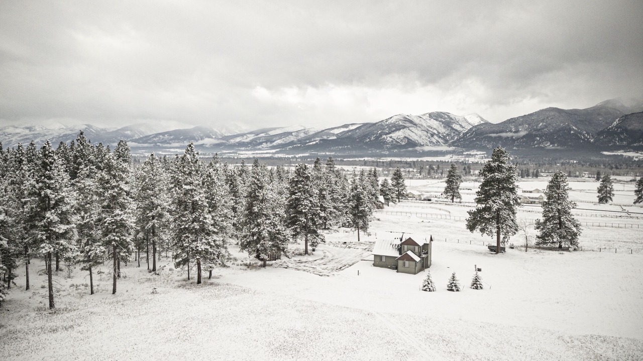 Photo of Others in Stevensville