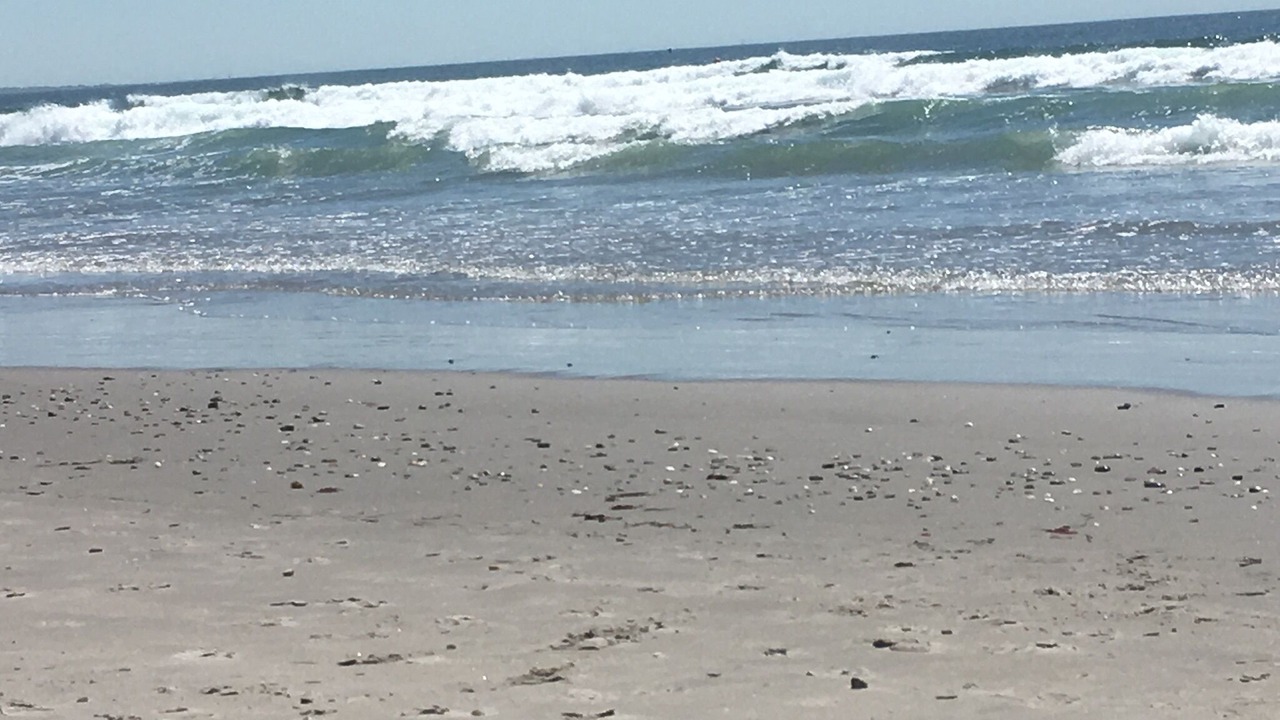 Photo of Others in Saunderstown