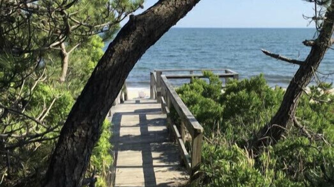 Photo of Outdoor in Harwich Port