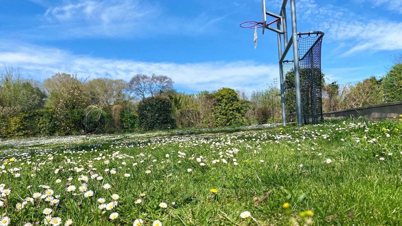 Photo of Others in Saint-Just