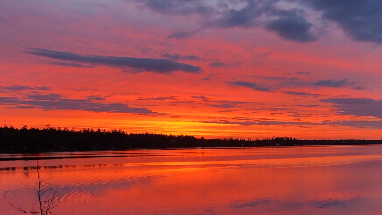 Photo of Others in Calabogie