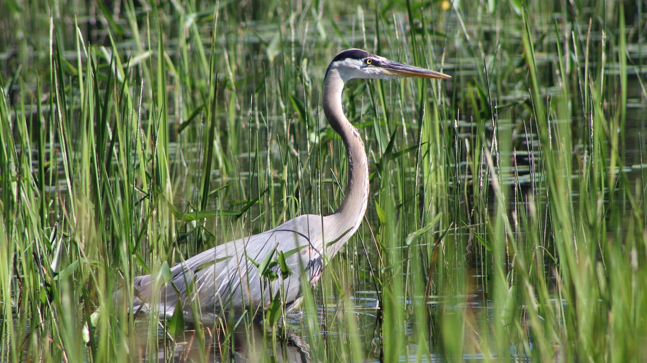 Photo of Outdoor in Calabogie