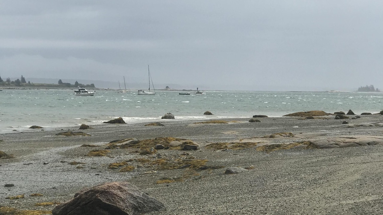 Photo of Others in Brooklin