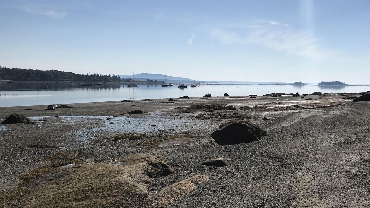 Photo of Others in Brooklin