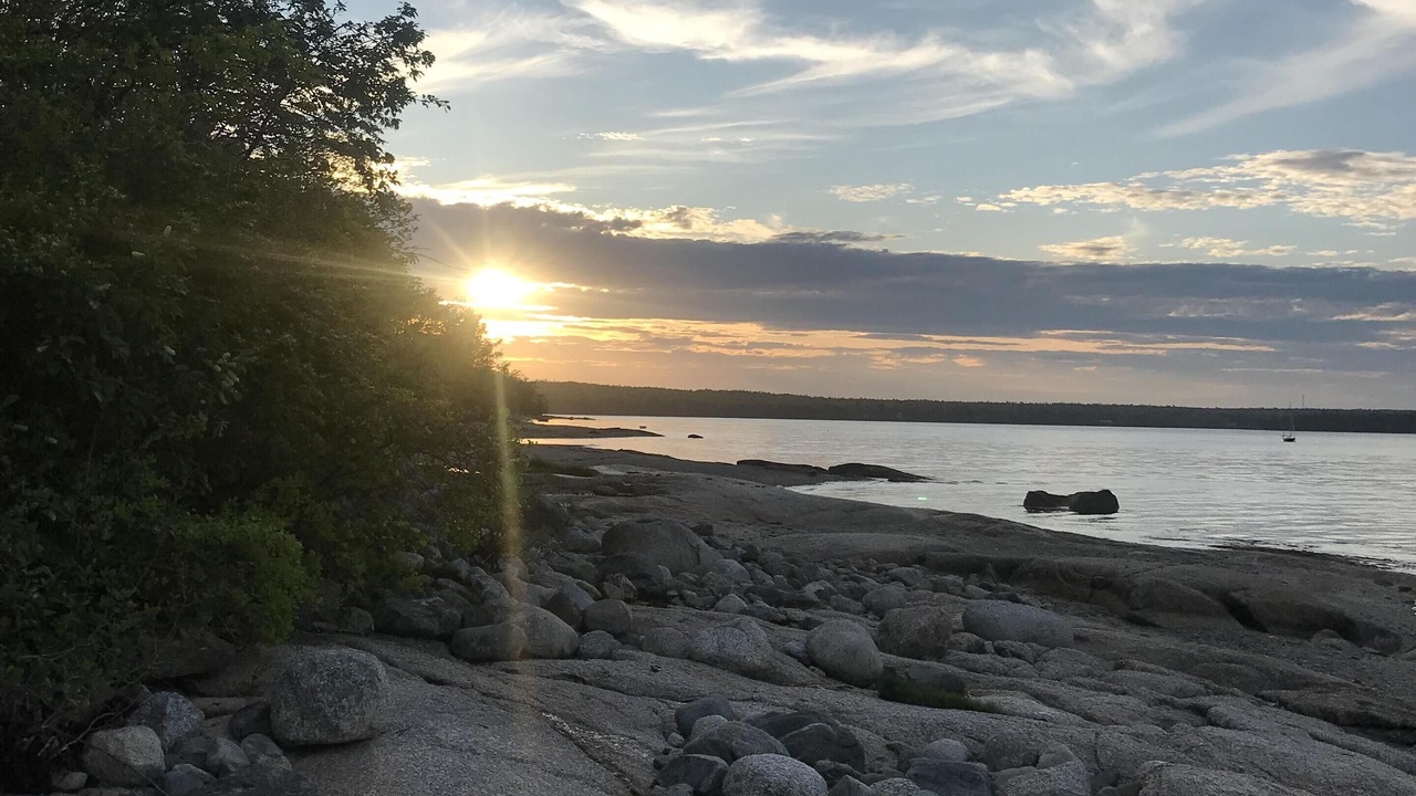 Photo of Others in Brooklin