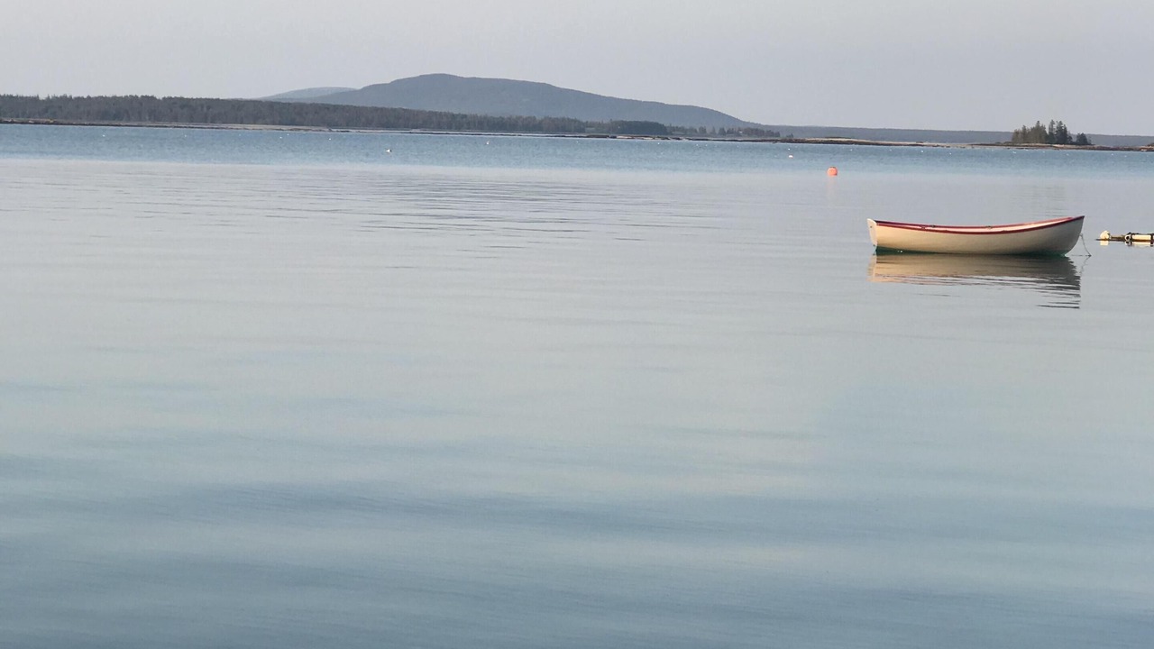 Photo of Others in Brooklin