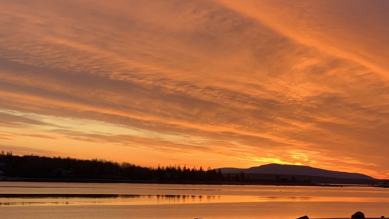 Photo of Others in Brooklin