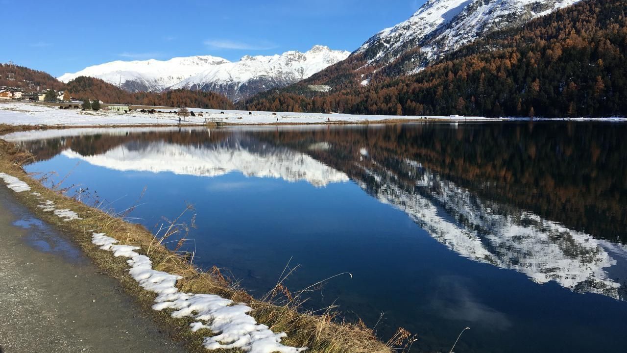 Photo of Others in La Punt-Chamues-ch