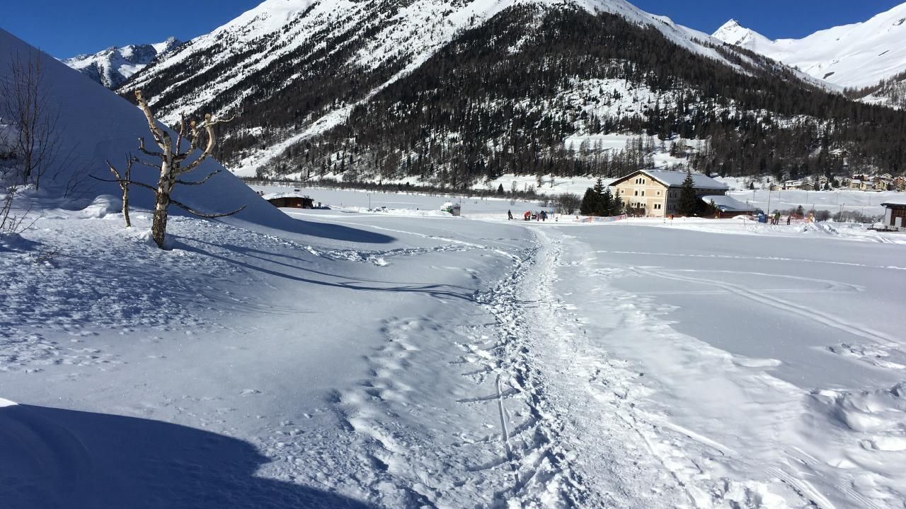 Photo of Others in La Punt-Chamues-ch