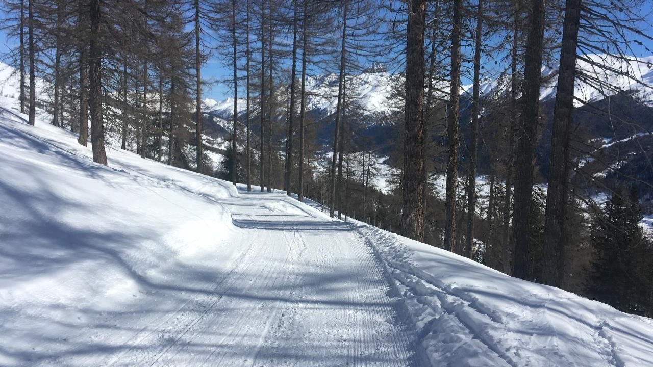 Photo of Others in La Punt-Chamues-ch