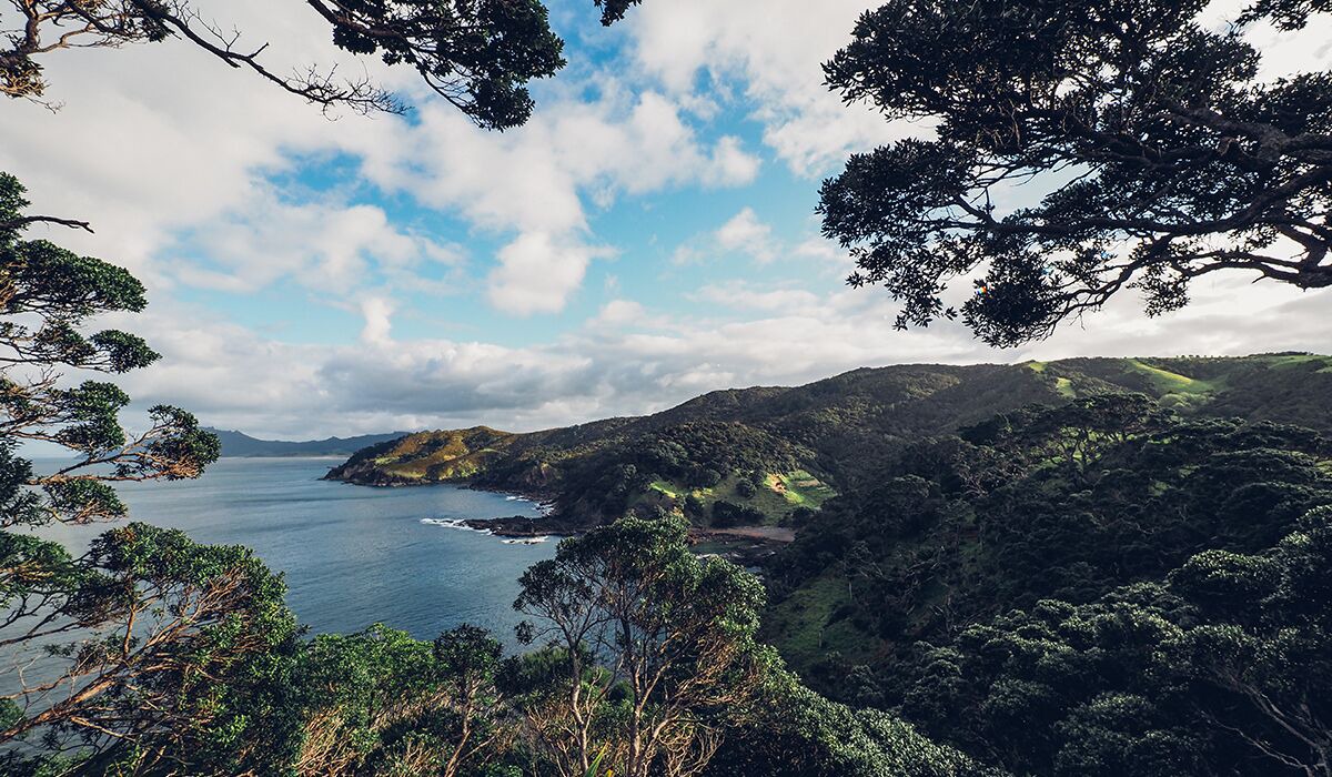 Photo of Others in Taiharuru