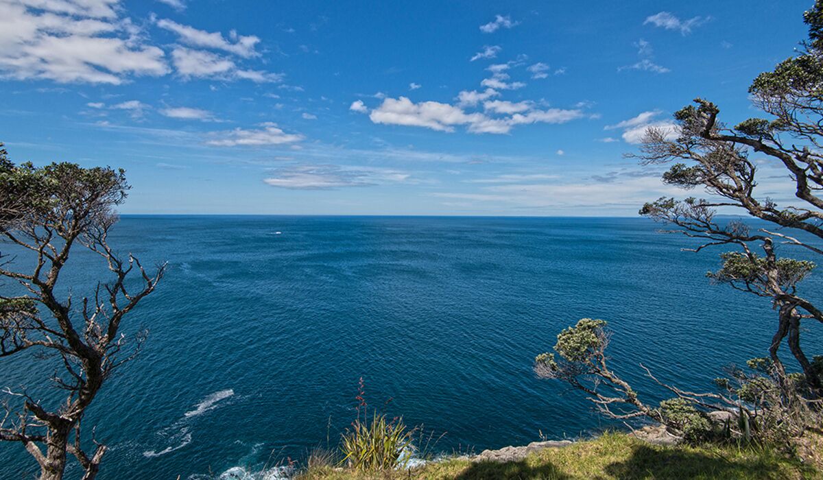 Photo of Others in Taiharuru