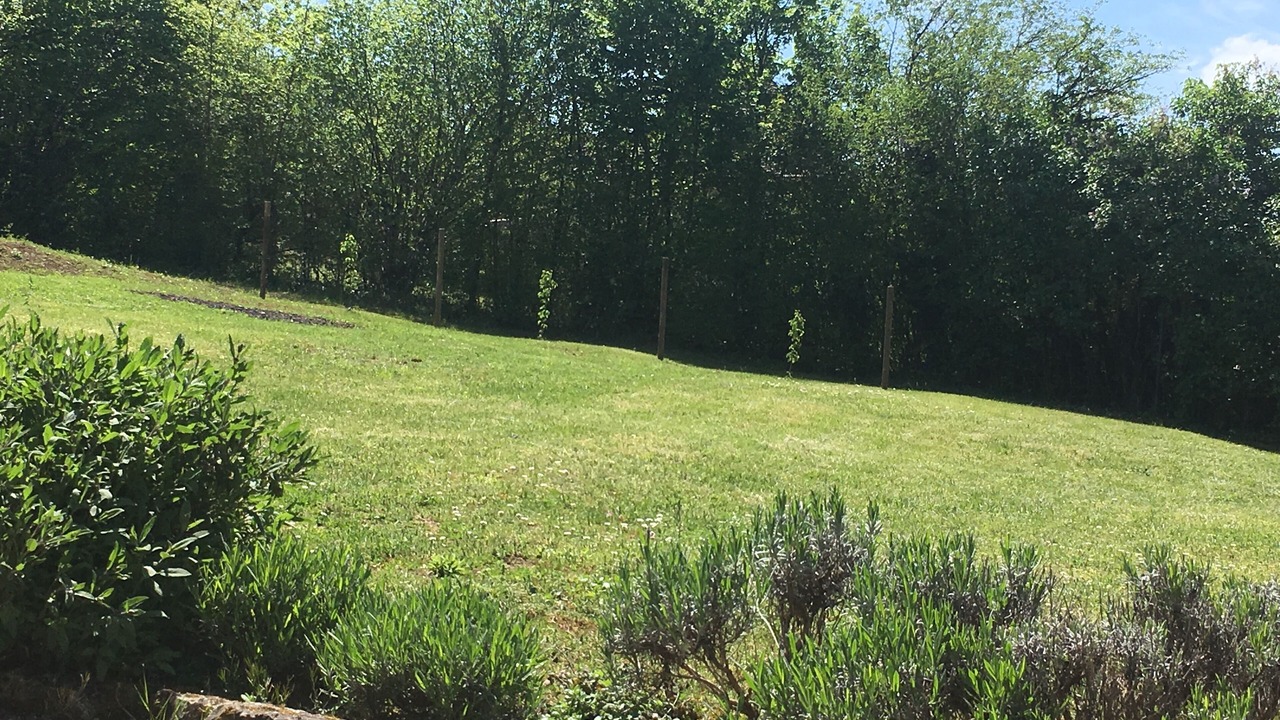 Photo of Outdoor in Sainte-Foy-de-Longas