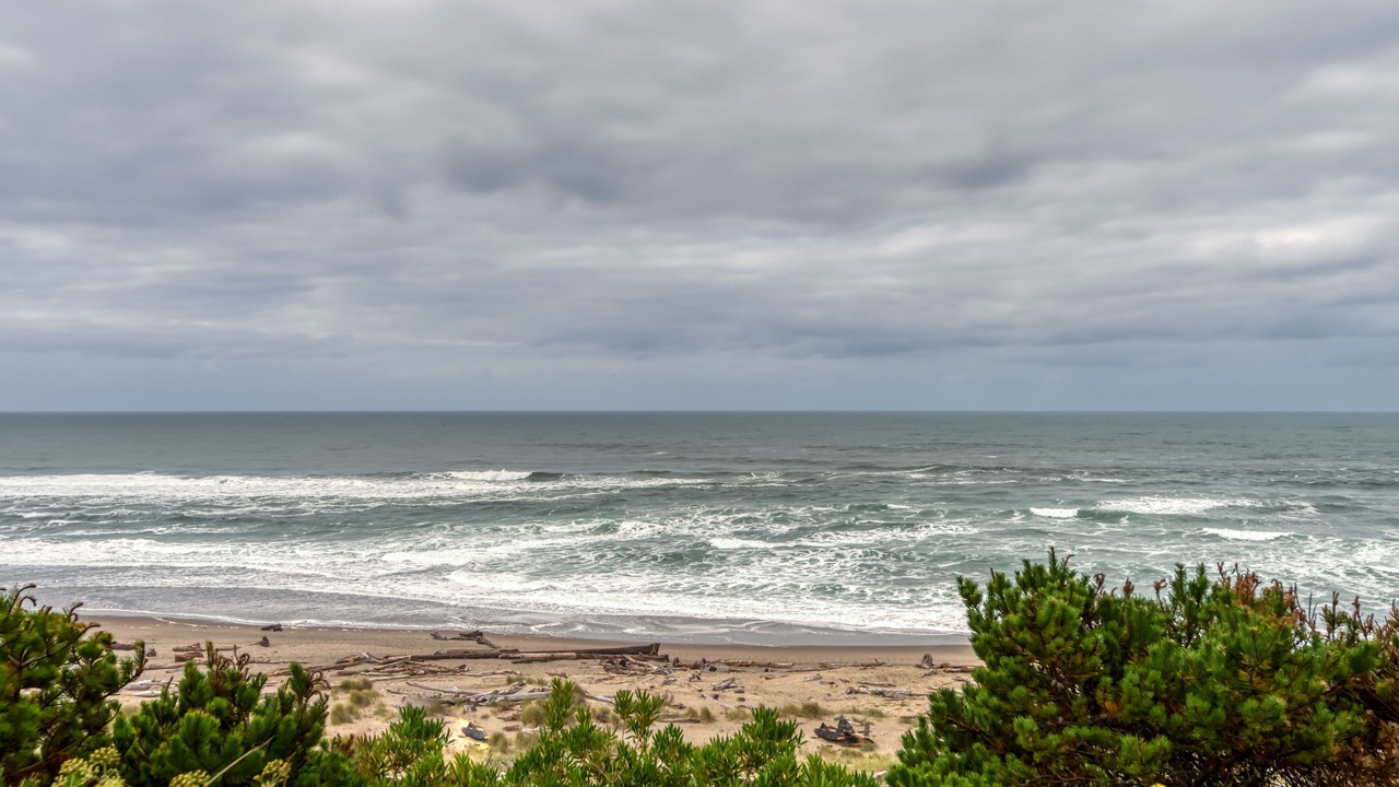 Photo of Others in Lincoln City
