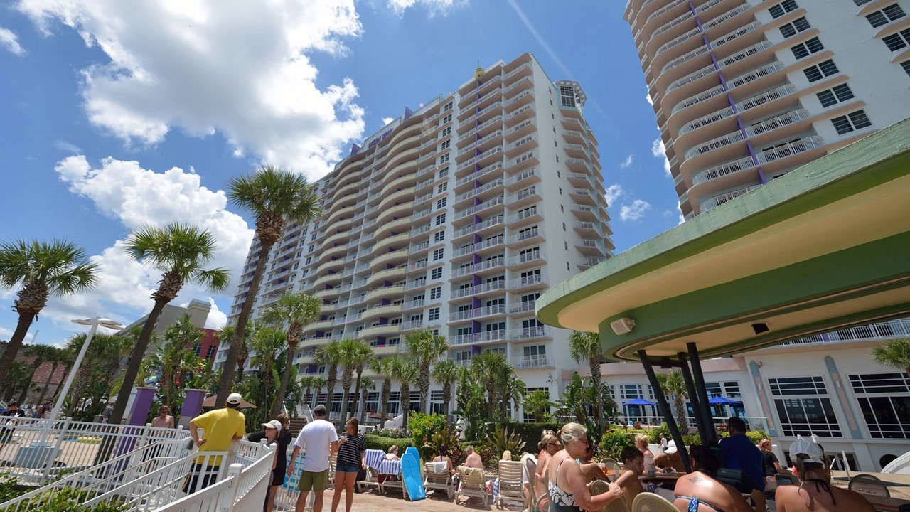 Photo of Outdoor in Brush - Stewarts