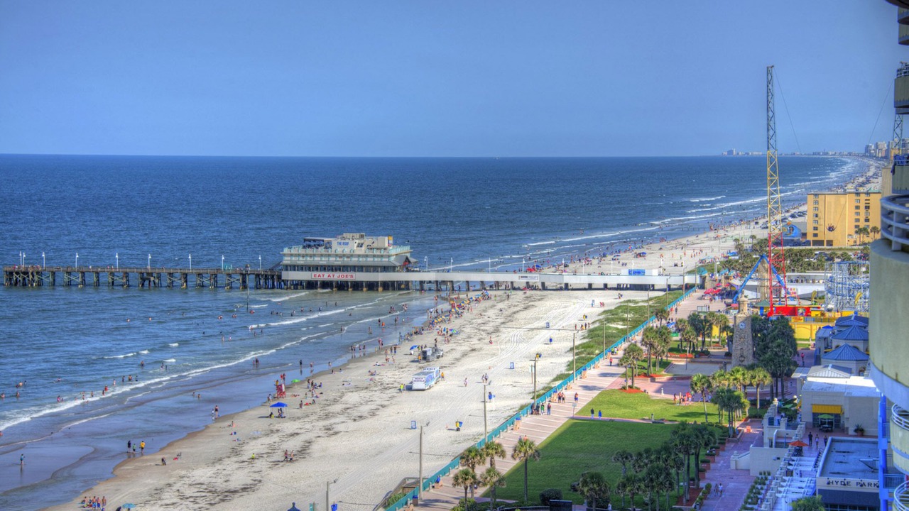 Photo of Others in Brush - Stewarts