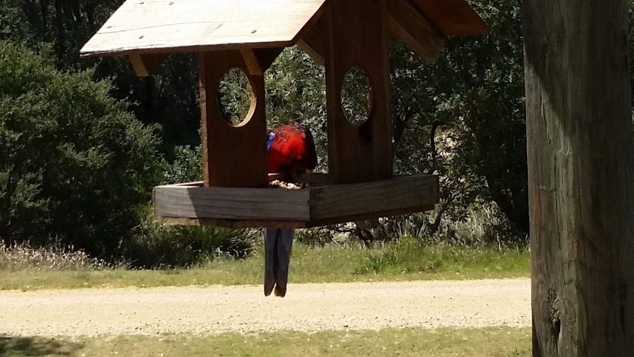 Photo of Outdoor in The Honeysuckles