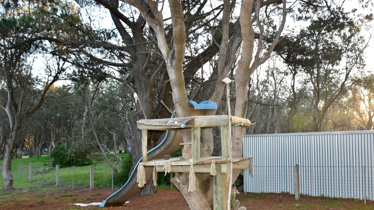 Photo of Others in The Honeysuckles