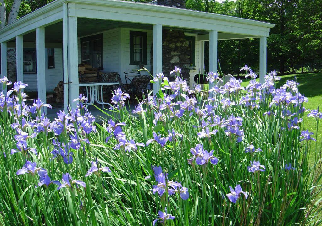 Photo of Outdoor in Chatham
