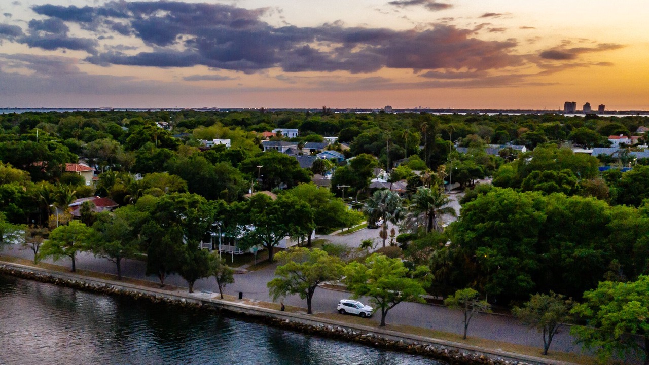 Photo of Outdoor in Davis Islands