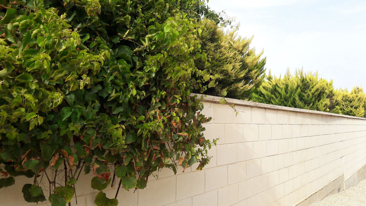 Photo of Outdoor in Los Valientes