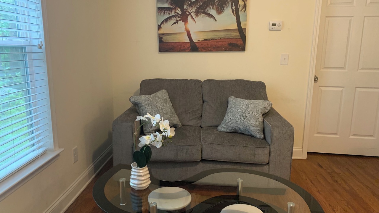 Photo of Livingroom in Buford Highway