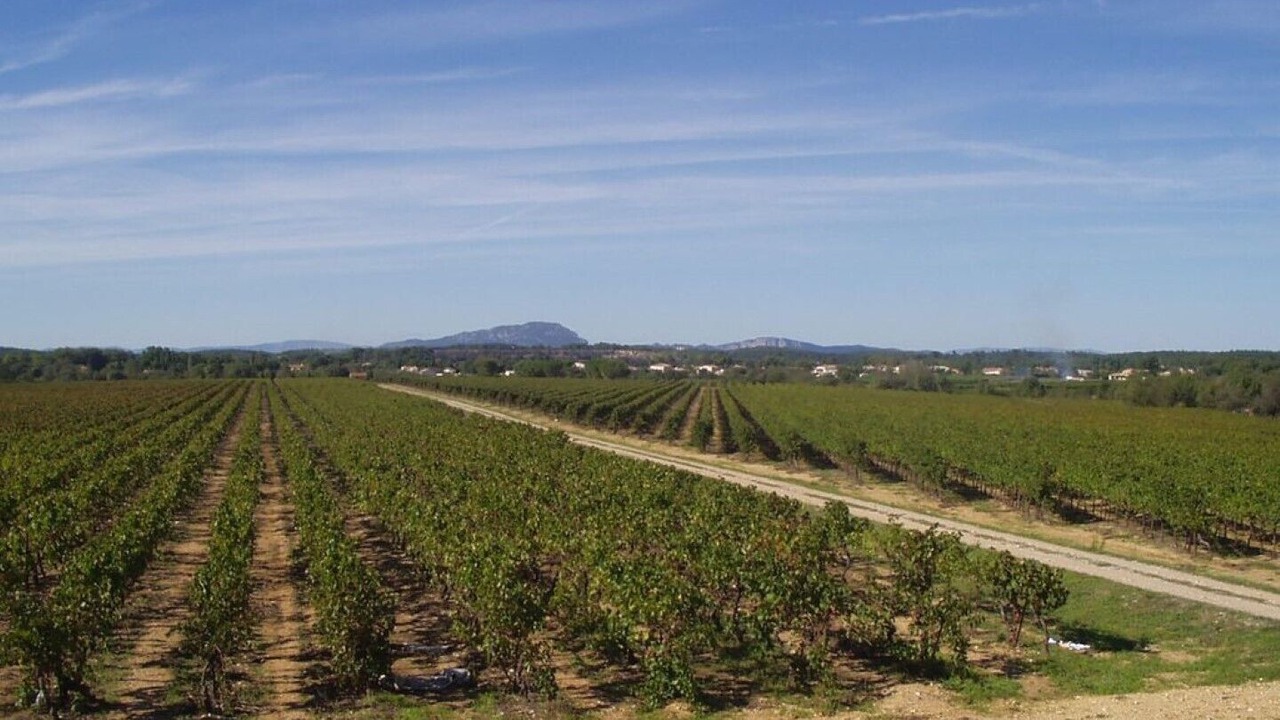Photo of Outdoor in Le Cres