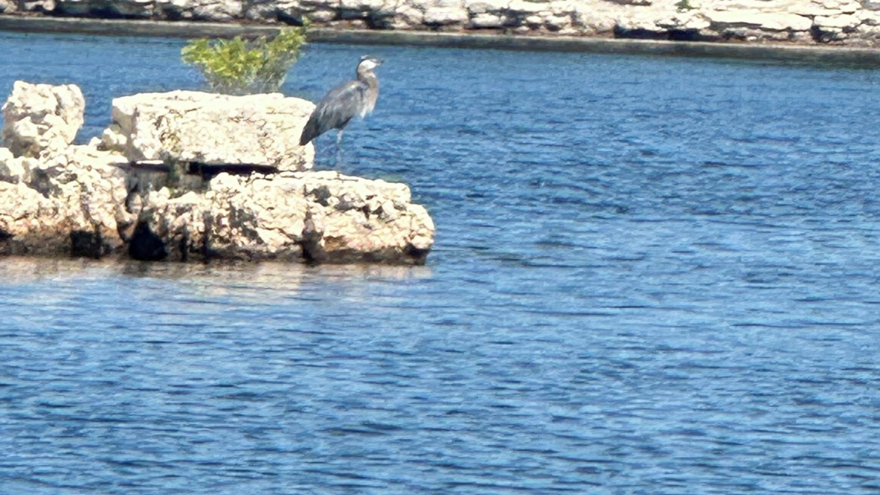 Photo of Others in Indian Point