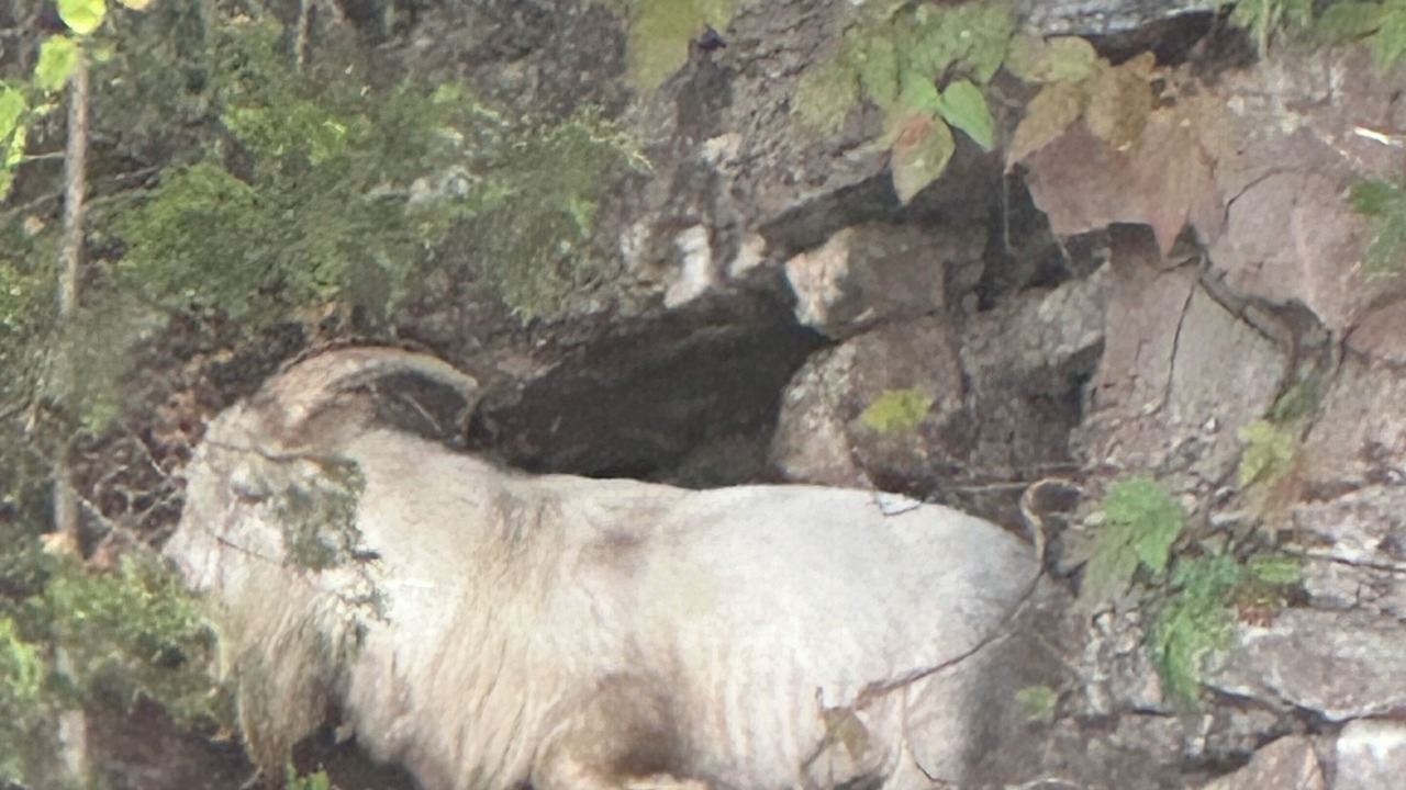 Photo of Others in Indian Point