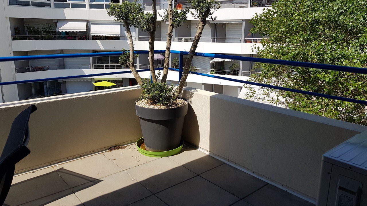 Photo of Outdoor in Le Grau-Du-Roi