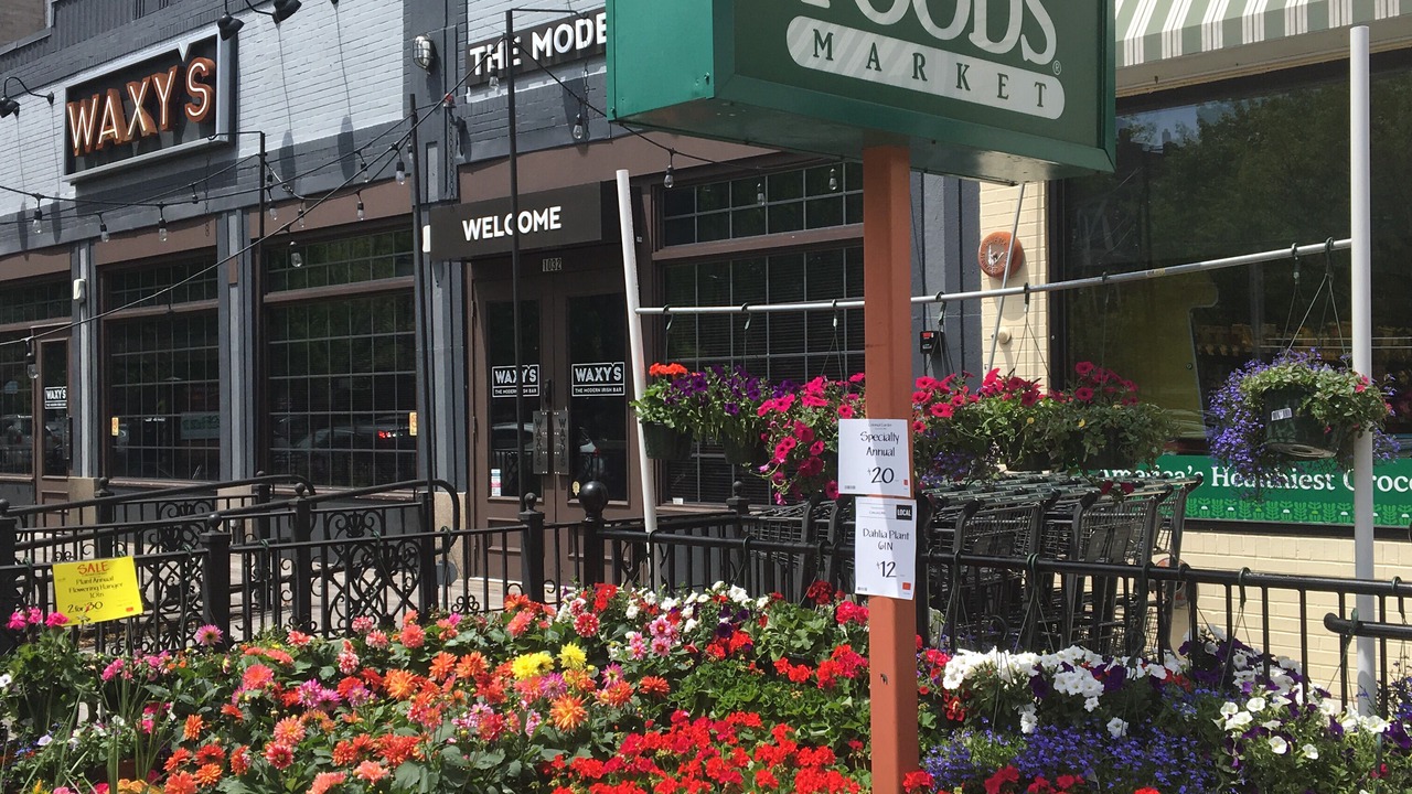 Photo of Outdoor in Longwood