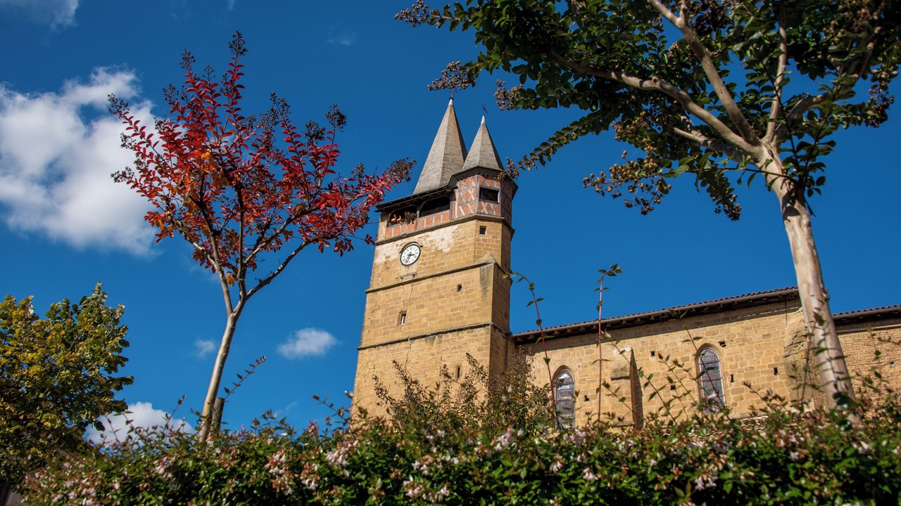 Photo of Others in Castelnau-Magnoac