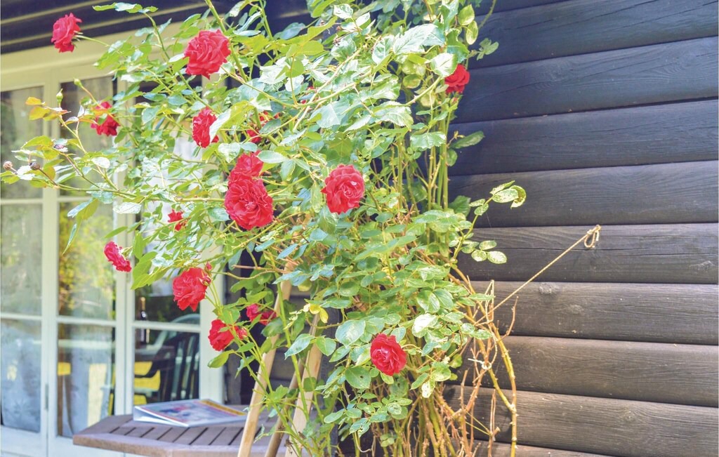 Photo of Others in Frederiksvaerk