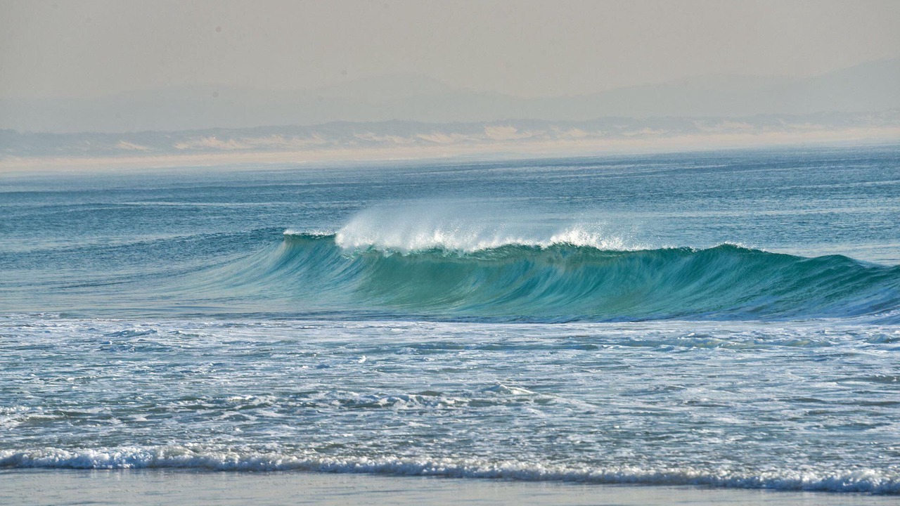 Photo of Others in Tea Gardens