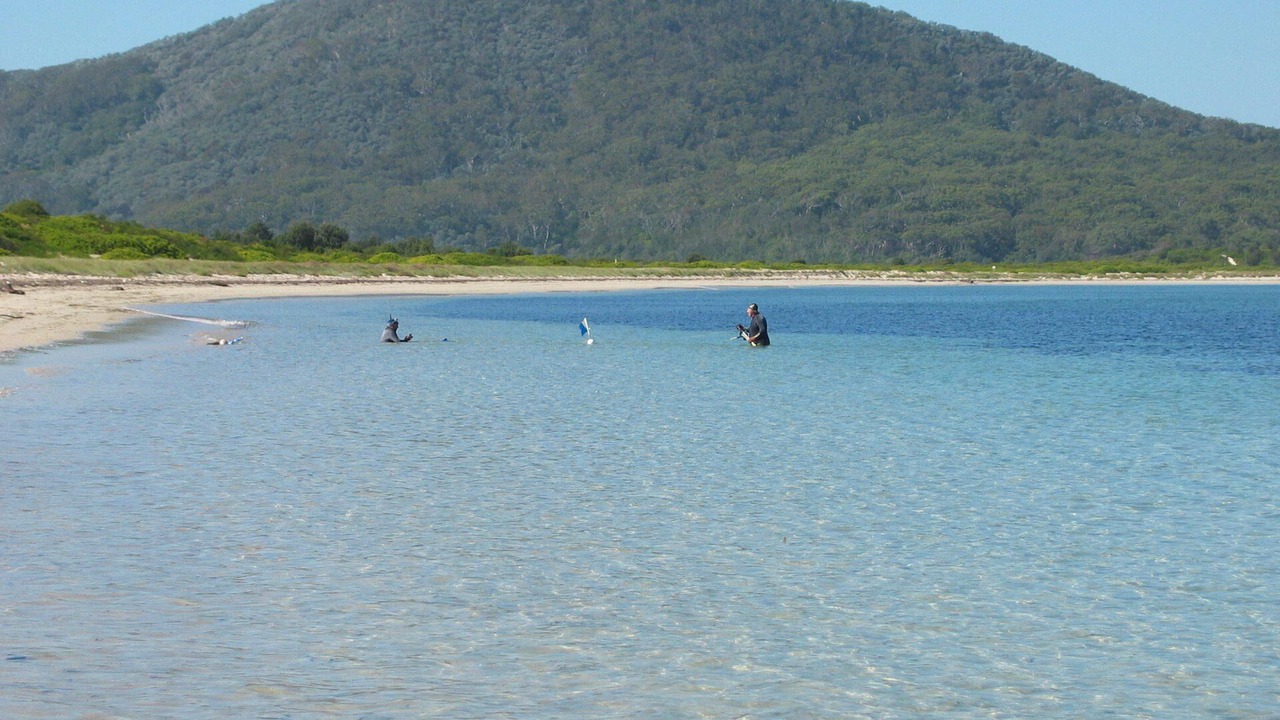 Photo of Others in Tea Gardens