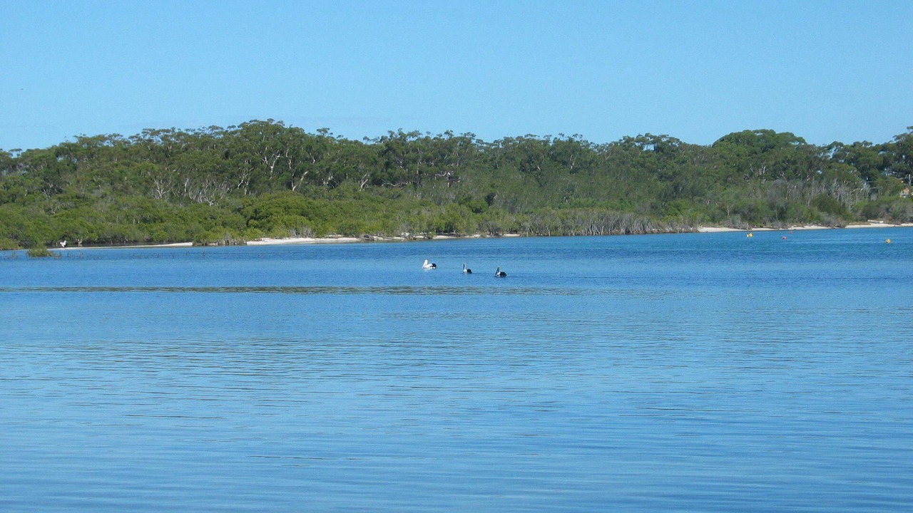 Photo of Others in Hawks Nest