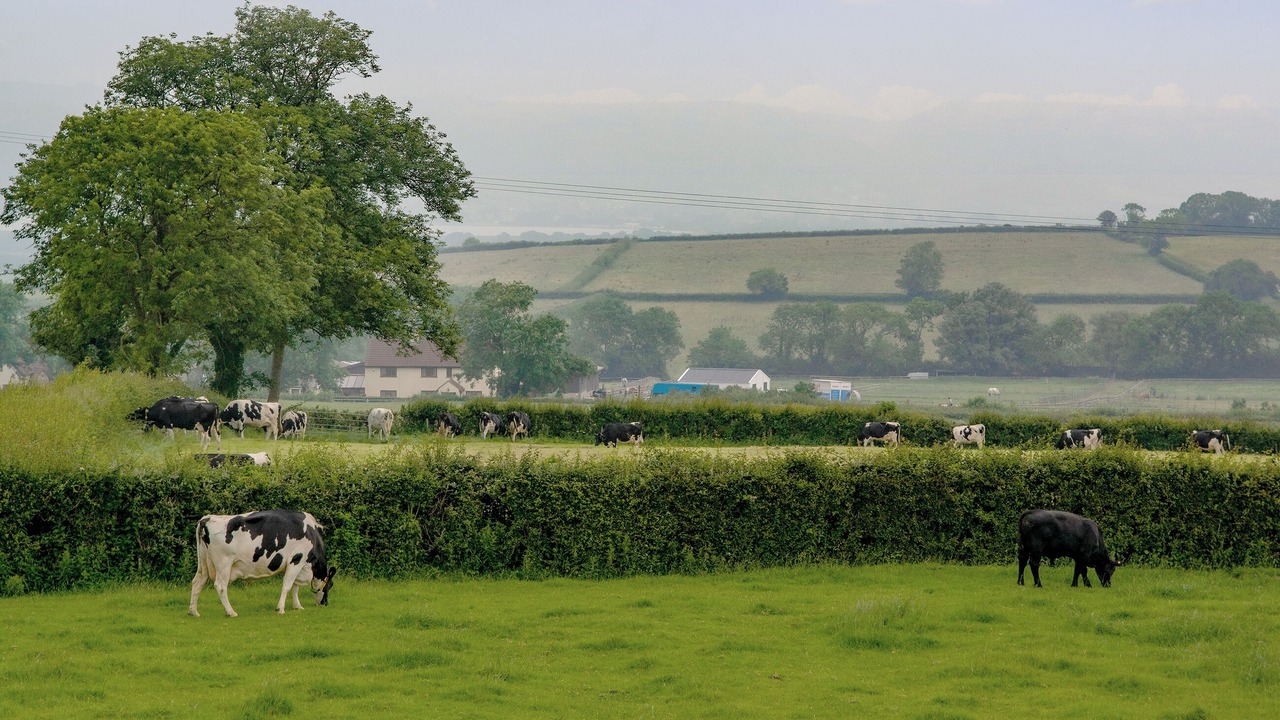 Photo of Others in Axbridge