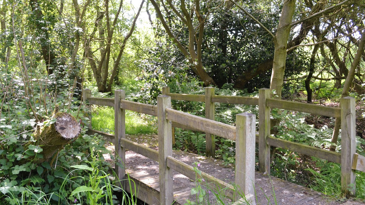 Photo of Outdoor in Lessingham