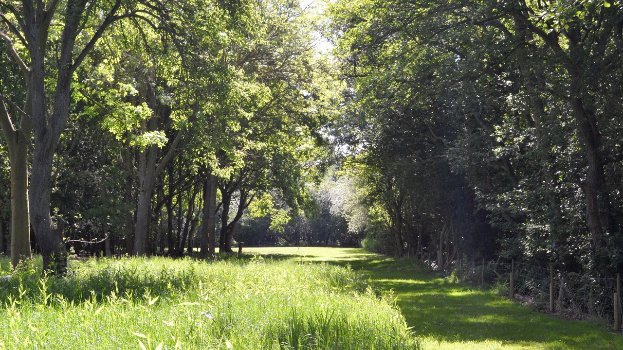 Photo of Outdoor in Lessingham