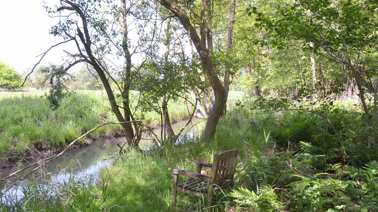 Photo of Outdoor in Lessingham