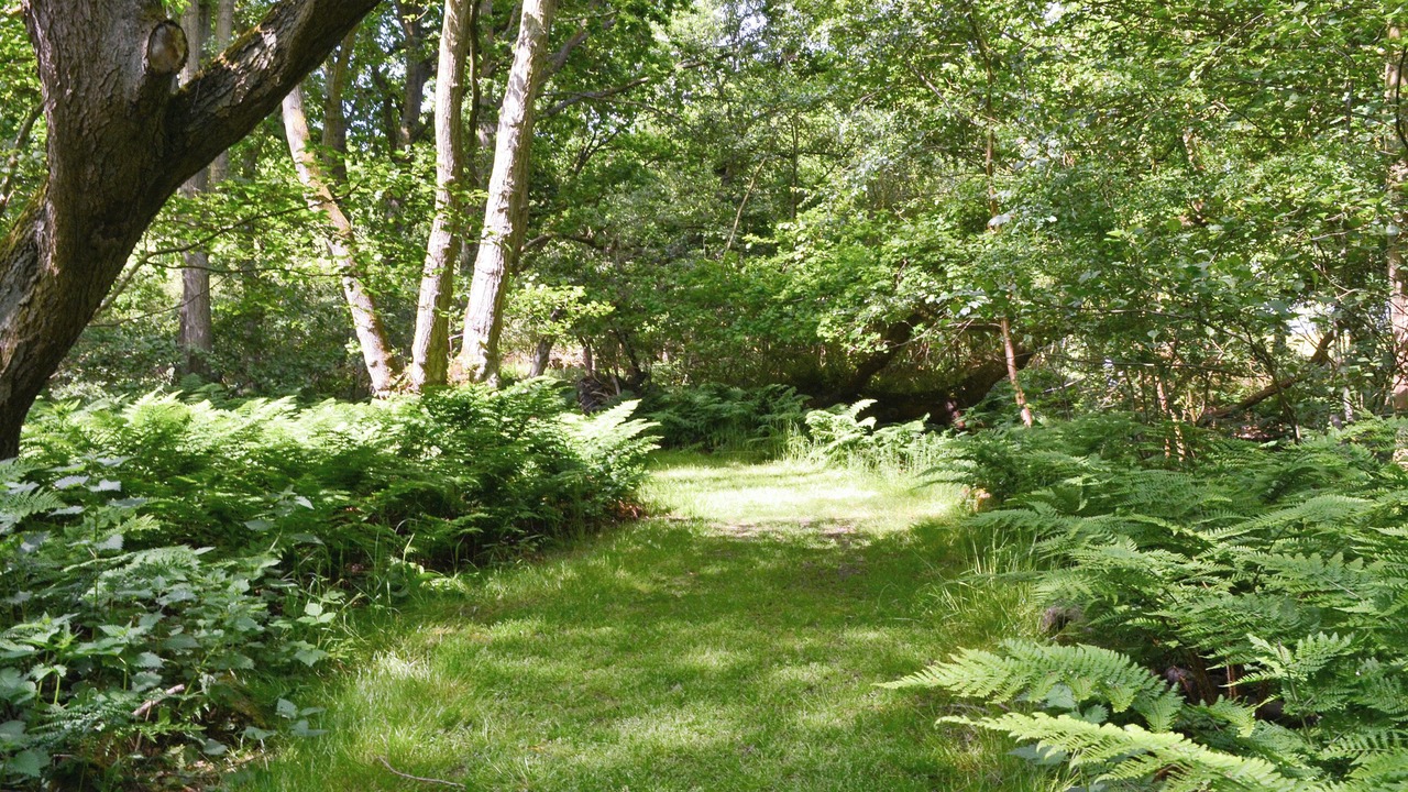 Photo of Outdoor in Lessingham