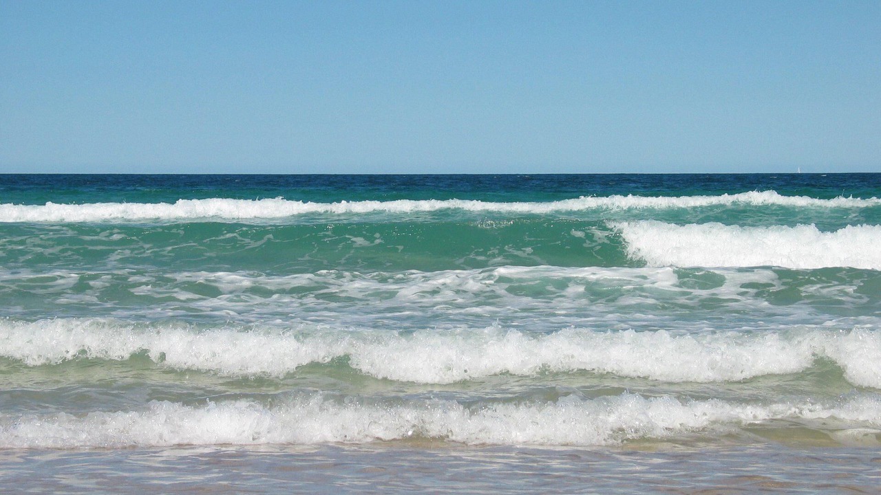 Photo of Others in Hawks Nest